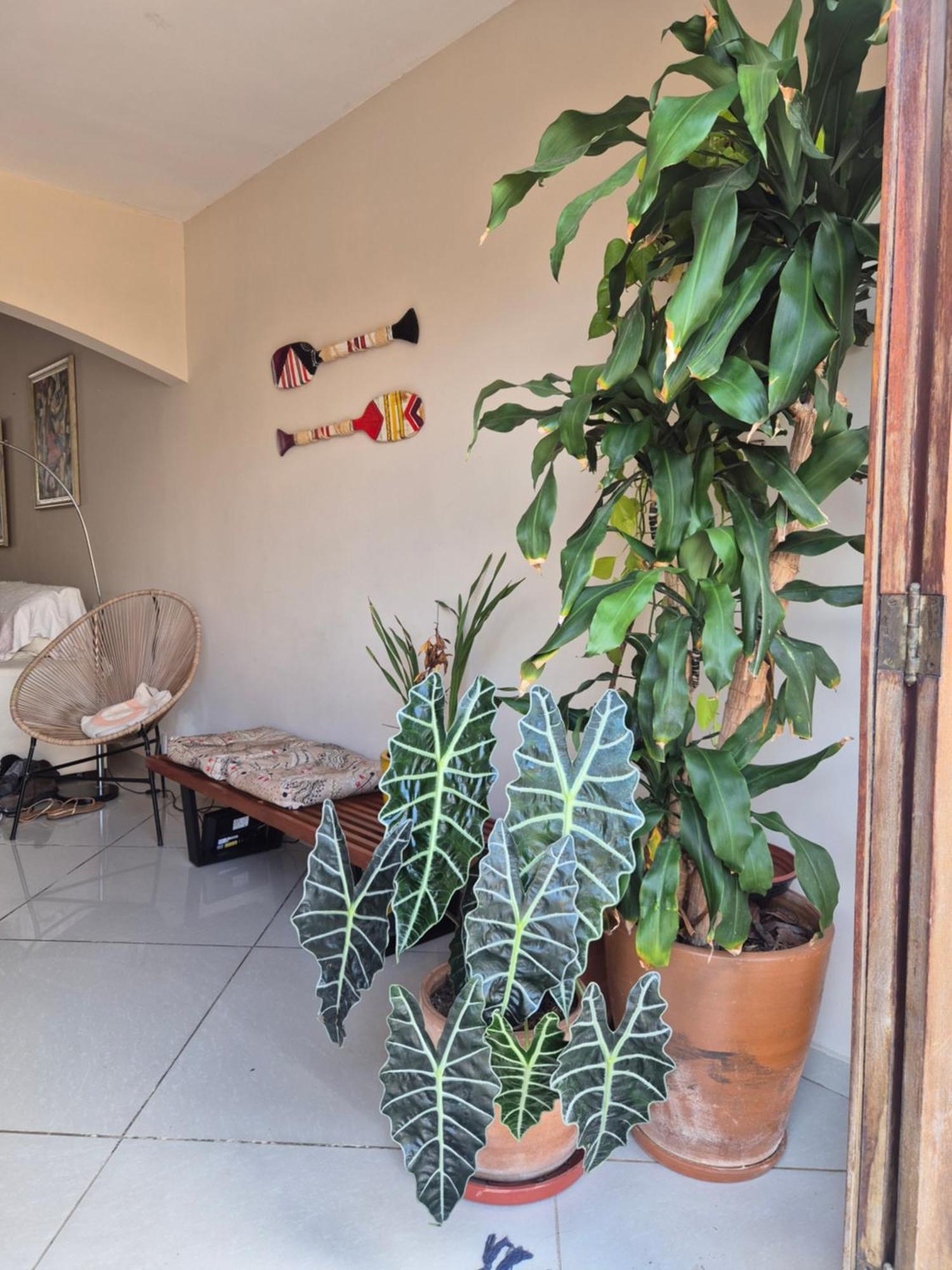 Cobertura Triplex Na Da Barra Río de Janeiro